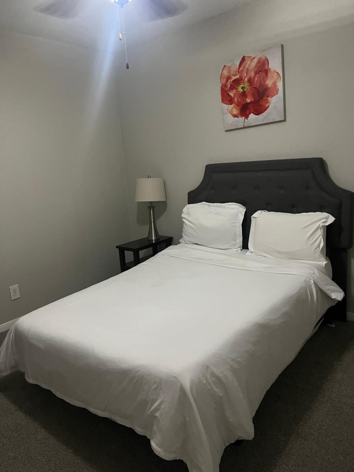 Resort Style Apt/Home In Houston Medical Centre Habitación foto